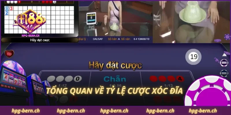 Tổng quan về tỷ lệ cược xóc đĩa